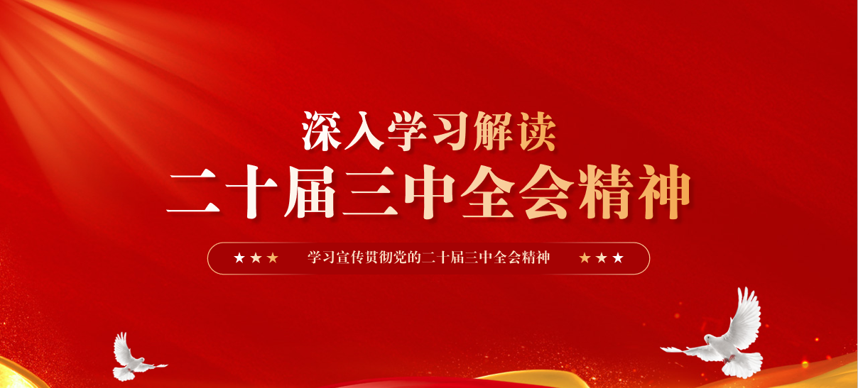 二十届三中全会